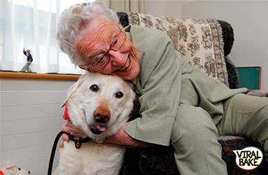 Pets-Can-Boost-Health-Of-Elderly-To-A-Huge-Extent