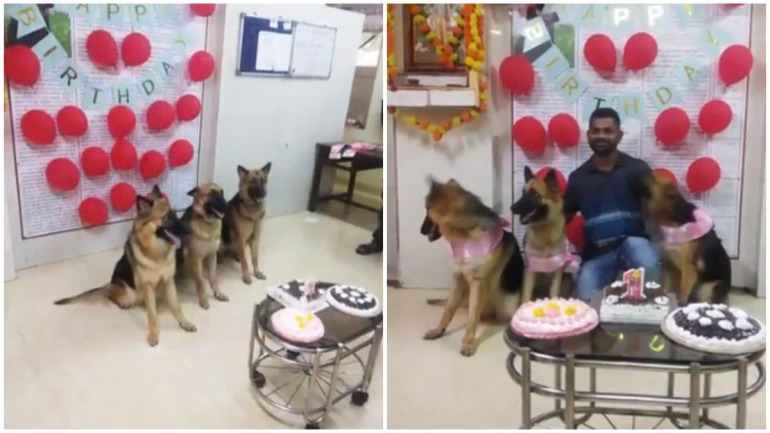 Mumbai police dogs birthday