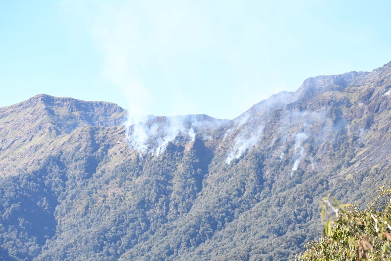 Nagaland forest fire