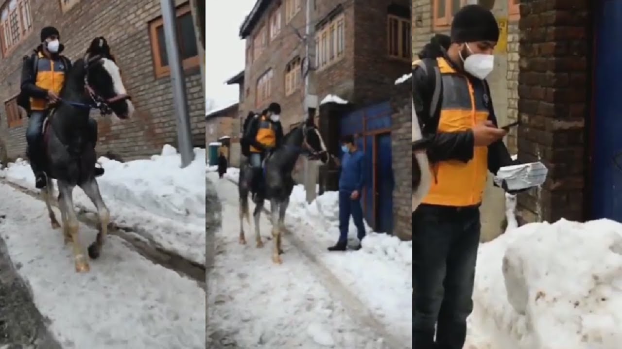 Kashmir horse delivery