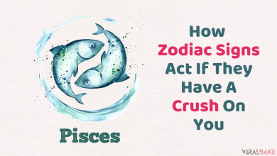 How Zodiac Signs Act If They Have A Crush On You